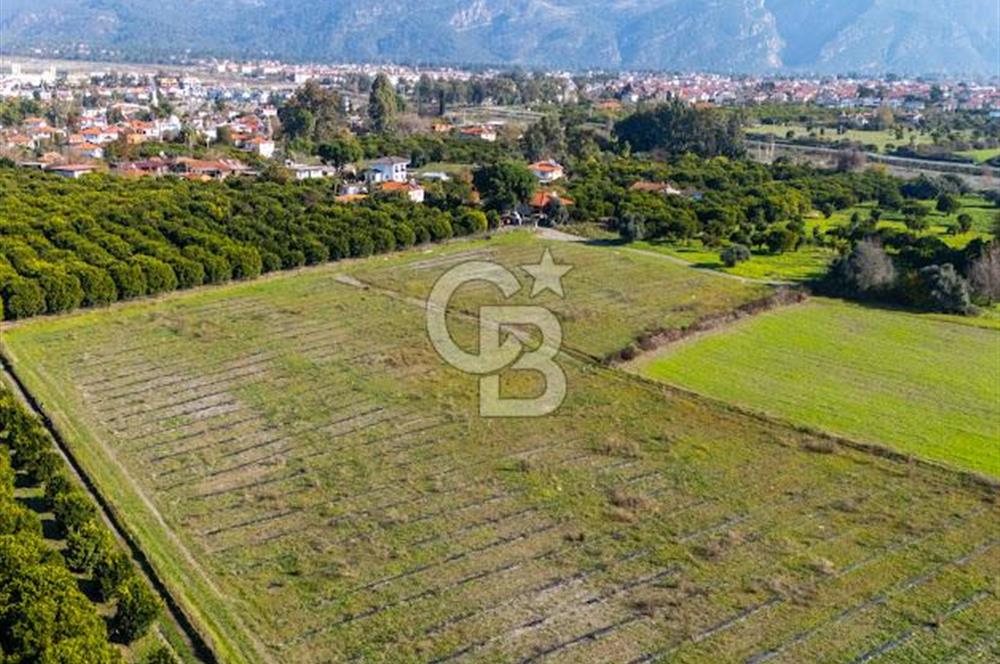 MUĞLA KÖYCEĞİZ ULUCAMİ DE MUHTEŞEM KONUMLU VE MANZARALI TARLA 1 /17 Premium Ofis