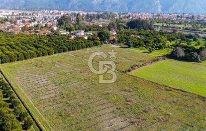 MUĞLA KÖYCEĞİZ ULUCAMİ DE MUHTEŞEM KONUMLU VE MANZARALI TARLA 1 /17 Premium Ofis
