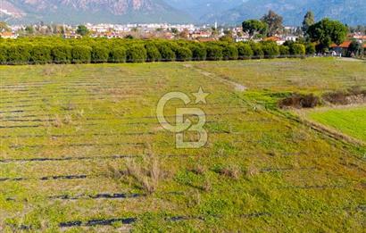 MUĞLA KÖYCEĞİZ ULUCAMİ DE MUHTEŞEM KONUMLU VE MANZARALI TARLA 1 /17 Premium Ofis