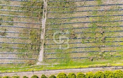 MUĞLA KÖYCEĞİZ ULUCAMİ DE MUHTEŞEM KONUMLU VE MANZARALI TARLA 1 /17 Premium Ofis