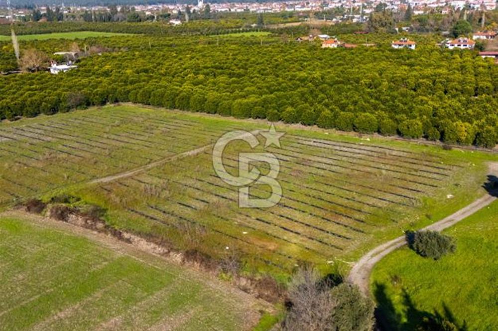 MUĞLA KÖYCEĞİZ ULUCAMİ DE MUHTEŞEM KONUMLU VE MANZARALI TARLA 1 /17 Premium Ofis