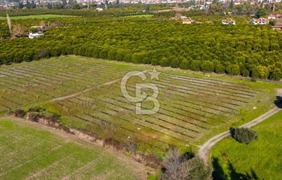 MUĞLA KÖYCEĞİZ ULUCAMİ DE MUHTEŞEM KONUMLU VE MANZARALI TARLA 1 /17 Premium Ofis