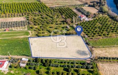 MUĞLA ORTACA FEVZIYE DE YATIRIM FIRSATI SUNAN 5.6 DÖNÜM TARLA