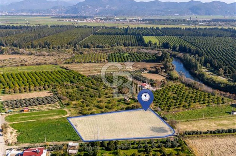MUĞLA ORTACA FEVZIYE DE YATIRIM FIRSATI SUNAN 5.6 DÖNÜM TARLA
