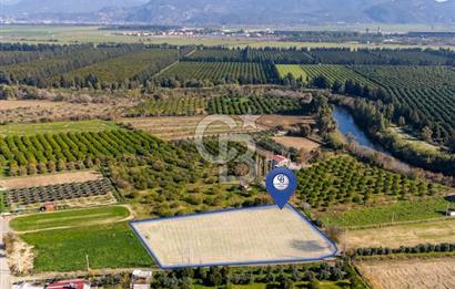 MUĞLA ORTACA FEVZIYE DE YATIRIM FIRSATI SUNAN 5.6 DÖNÜM TARLA