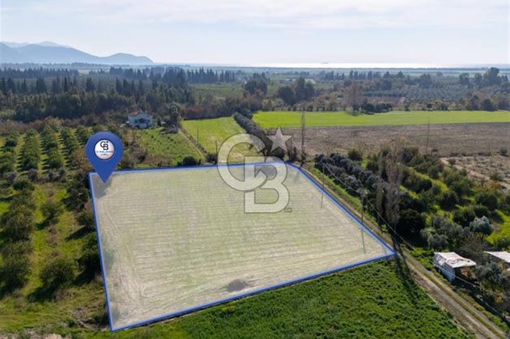 MUĞLA ORTACA FEVZIYE DE YATIRIM FIRSATI SUNAN 5.6 DÖNÜM TARLA