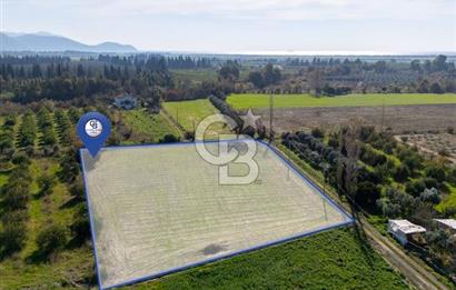 MUĞLA ORTACA FEVZIYE DE YATIRIM FIRSATI SUNAN 5.6 DÖNÜM TARLA