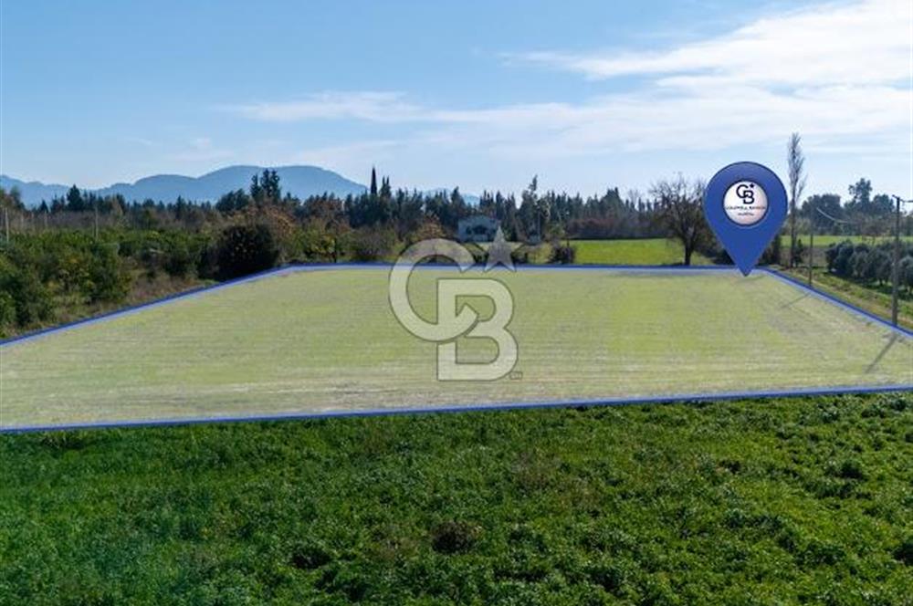 MUĞLA ORTACA FEVZIYE DE YATIRIM FIRSATI SUNAN 5.6 DÖNÜM TARLA