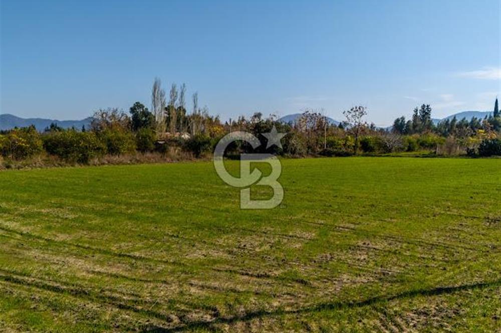 MUĞLA ORTACA FEVZIYE DE YATIRIM FIRSATI SUNAN 5.6 DÖNÜM TARLA