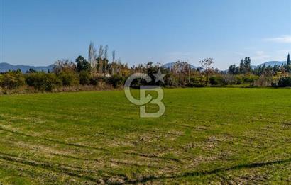 MUĞLA ORTACA FEVZIYE DE YATIRIM FIRSATI SUNAN 5.6 DÖNÜM TARLA