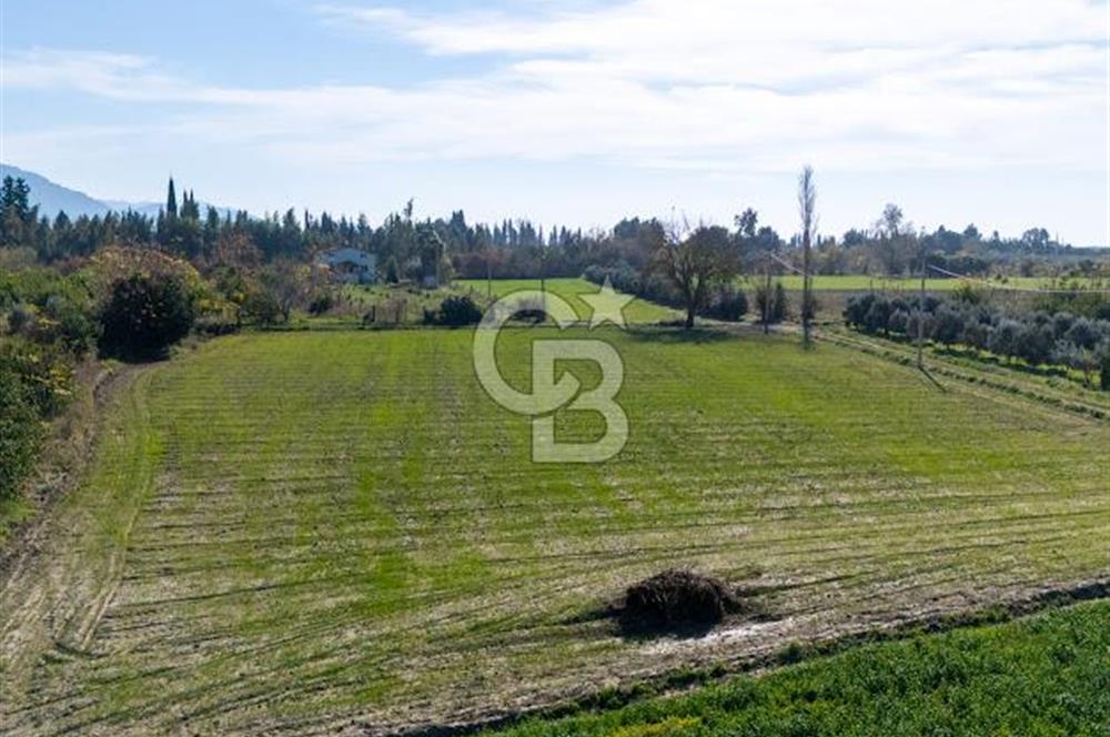 MUĞLA ORTACA FEVZIYE DE YATIRIM FIRSATI SUNAN 5.6 DÖNÜM TARLA