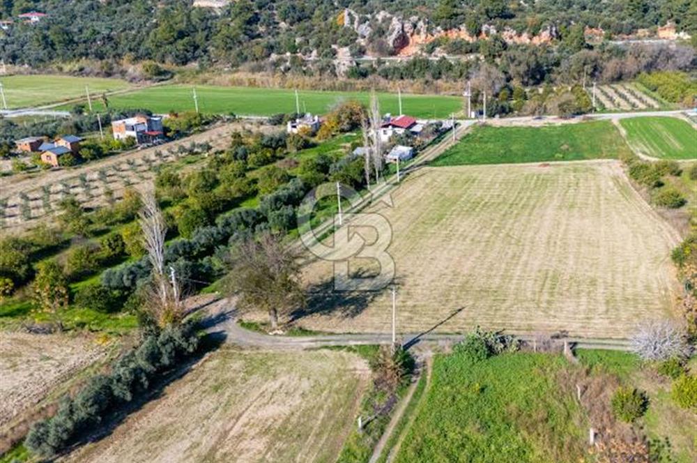 MUĞLA ORTACA FEVZIYE DE YATIRIM FIRSATI SUNAN 5.6 DÖNÜM TARLA