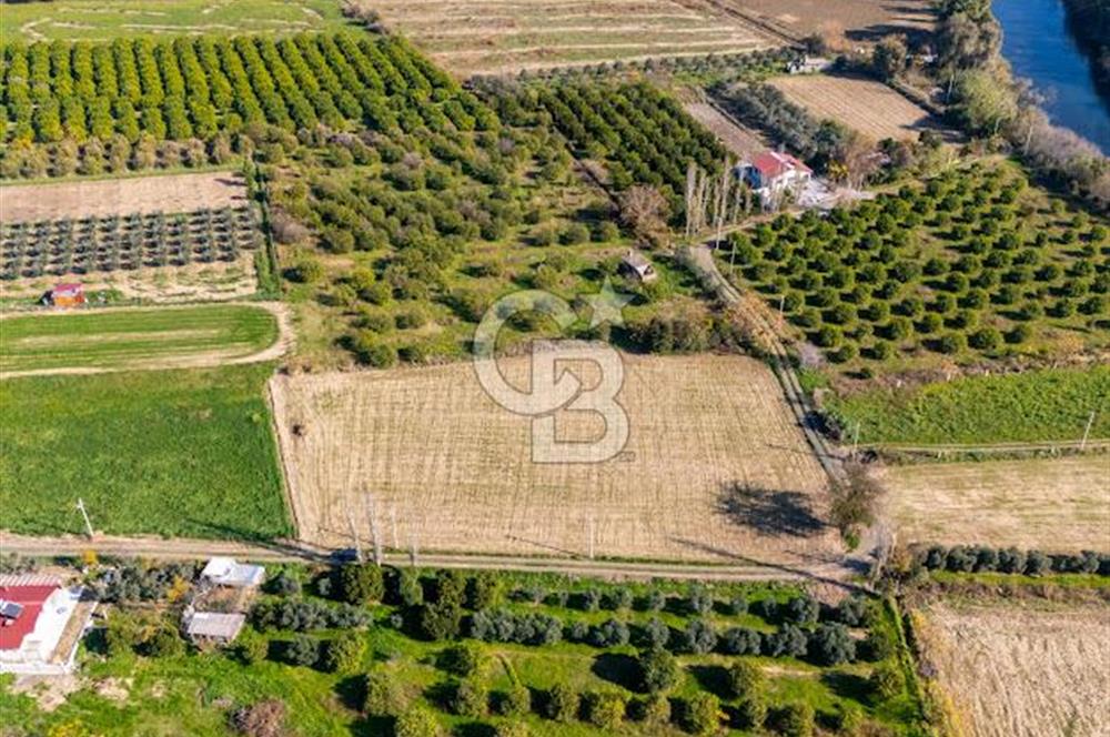 MUĞLA ORTACA FEVZIYE DE YATIRIM FIRSATI SUNAN 5.6 DÖNÜM TARLA