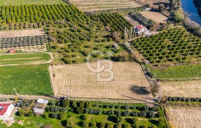 MUĞLA ORTACA FEVZIYE DE YATIRIM FIRSATI SUNAN 5.6 DÖNÜM TARLA
