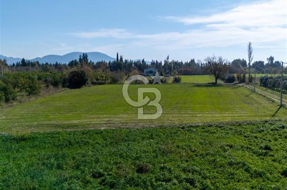 MUĞLA ORTACA FEVZIYE DE YATIRIM FIRSATI SUNAN 5.6 DÖNÜM TARLA