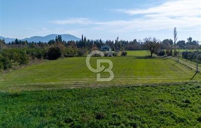 MUĞLA ORTACA FEVZIYE DE YATIRIM FIRSATI SUNAN 5.6 DÖNÜM TARLA