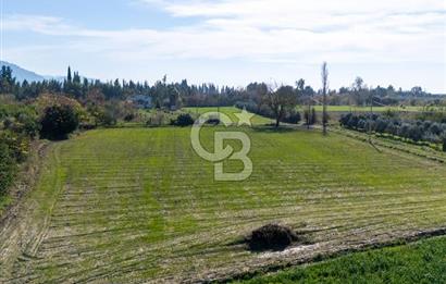 MUĞLA ORTACA FEVZIYE DE YATIRIM FIRSATI SUNAN 5.6 DÖNÜM TARLA