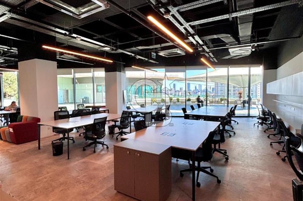 NEO'dan Bulvar 216'da 500 m2'lik Hazır Ofis!!!