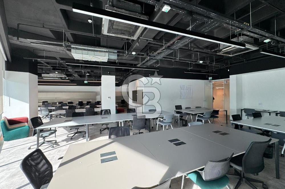 NEO'dan Bulvar 216'da 500 m2'lik Hazır Ofis!!!
