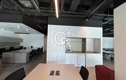 NEO'dan Bulvar 216'da 500 m2'lik Hazır Ofis!!!