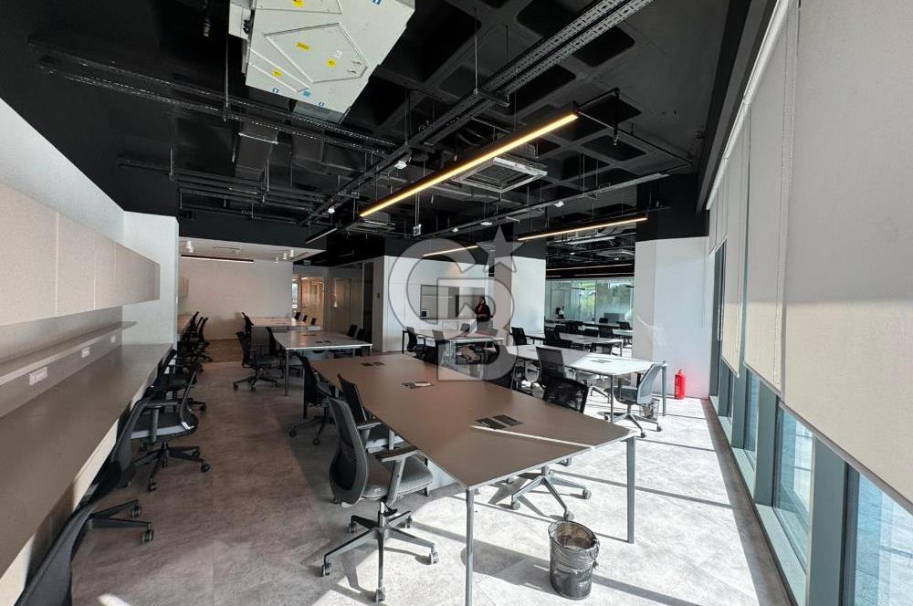 NEO'dan Bulvar 216'da Kiralık Hazır Ofis!!!