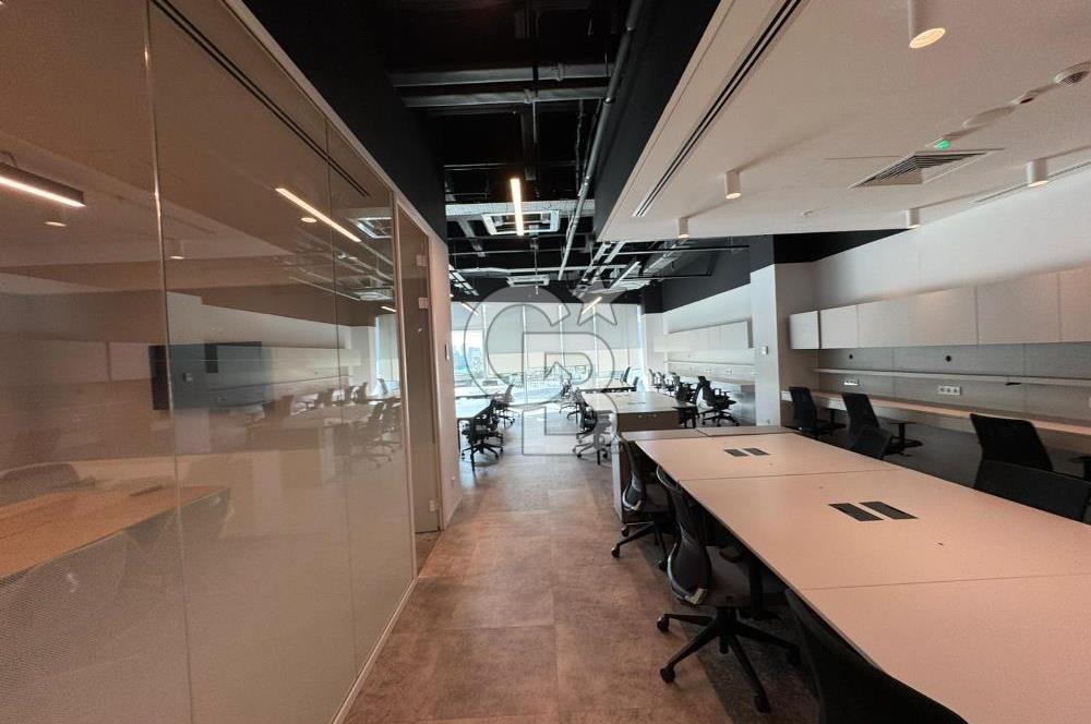 NEO'dan Bulvar 216'da 500 m2'lik Hazır Ofis!!!