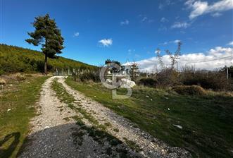 Tarla İçinde Meyve Bahçeli Müstakil Çiftlik Evi - 5 - 321903