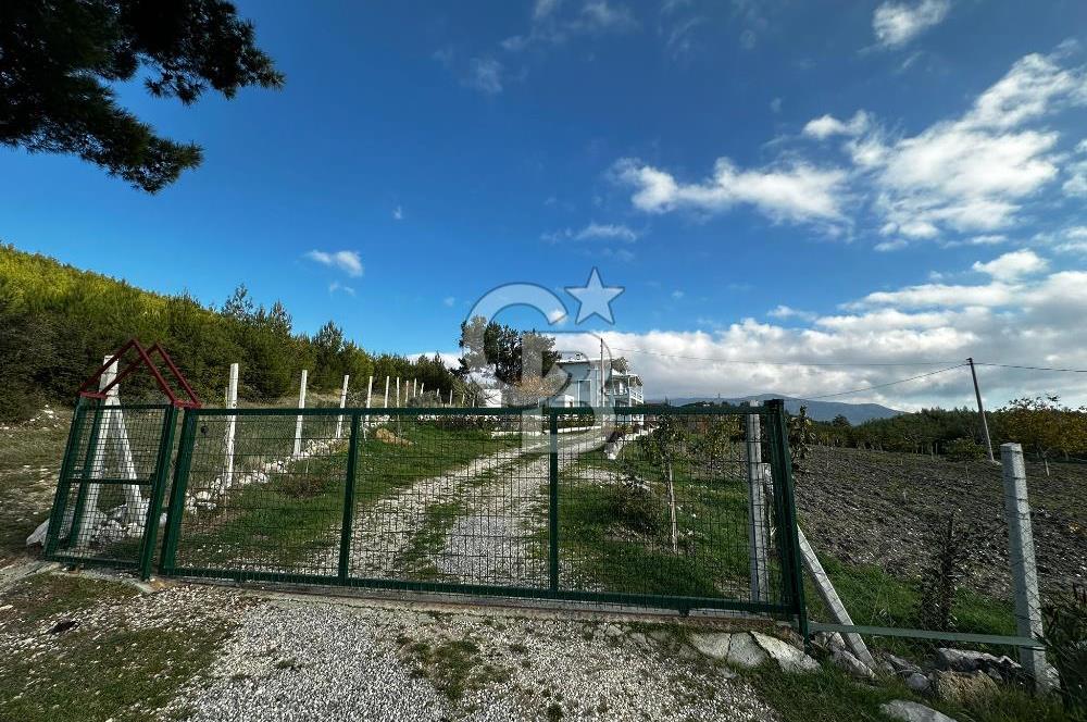 Tarla İçinde Meyve Bahçeli Müstakil Çiftlik Evi