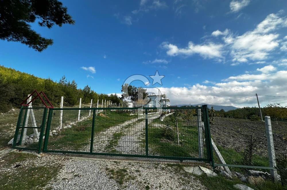 Tarla İçinde Meyve Bahçeli Müstakil Çiftlik Evi