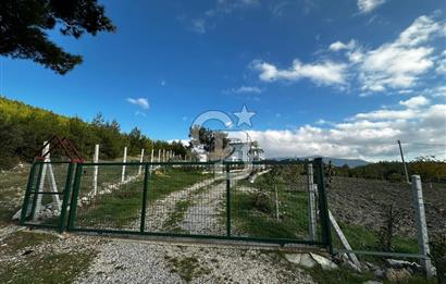 Tarla İçinde Meyve Bahçeli Müstakil Çiftlik Evi