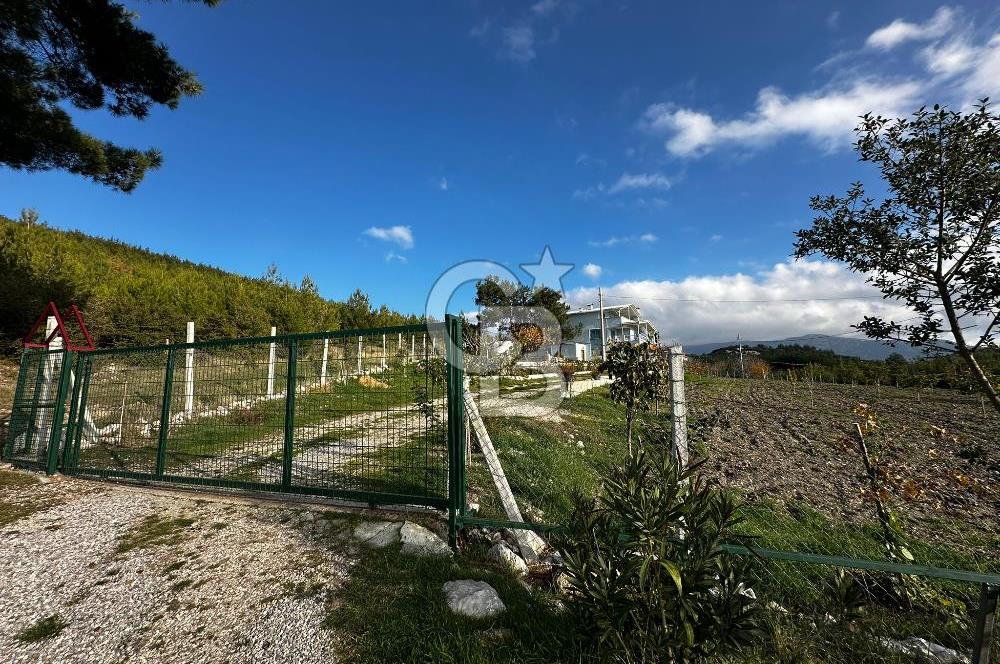 Tarla İçinde Meyve Bahçeli Müstakil Çiftlik Evi