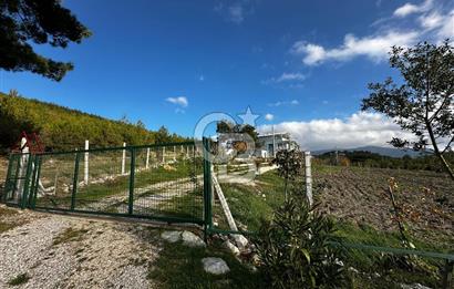 Tarla İçinde Meyve Bahçeli Müstakil Çiftlik Evi