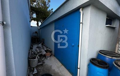 Tarla İçinde Meyve Bahçeli Müstakil Çiftlik Evi