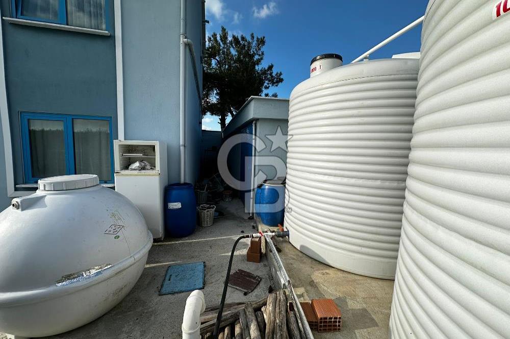 Tarla İçinde Meyve Bahçeli Müstakil Çiftlik Evi