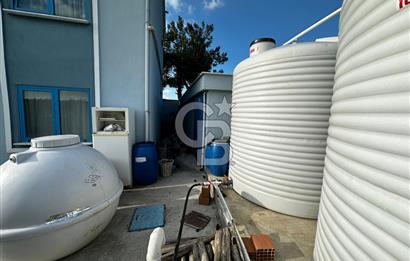 Tarla İçinde Meyve Bahçeli Müstakil Çiftlik Evi