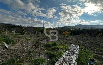 Tarla İçinde Meyve Bahçeli Müstakil Çiftlik Evi