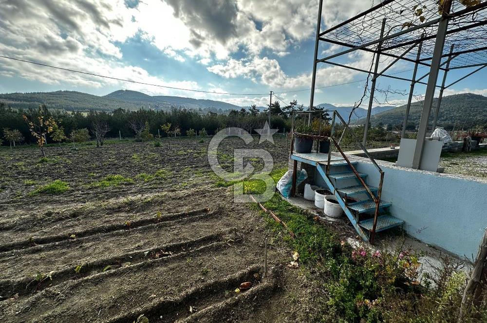 Tarla İçinde Meyve Bahçeli Müstakil Çiftlik Evi