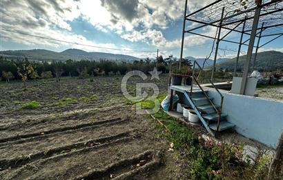 Tarla İçinde Meyve Bahçeli Müstakil Çiftlik Evi