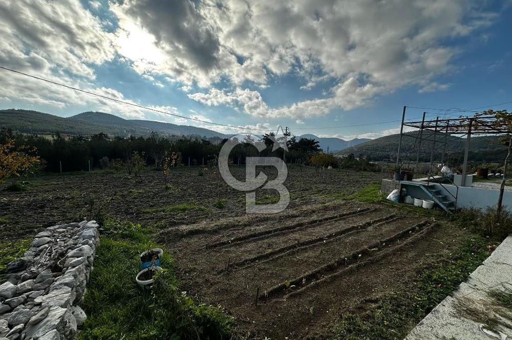 Tarla İçinde Meyve Bahçeli Müstakil Çiftlik Evi