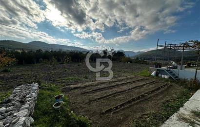 Tarla İçinde Meyve Bahçeli Müstakil Çiftlik Evi