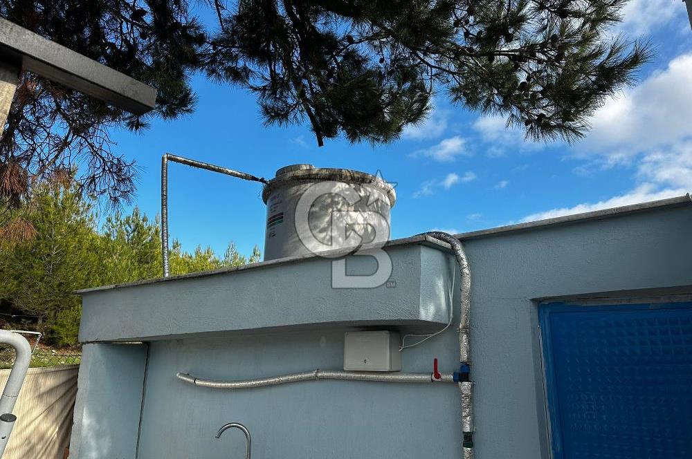 Tarla İçinde Meyve Bahçeli Müstakil Çiftlik Evi