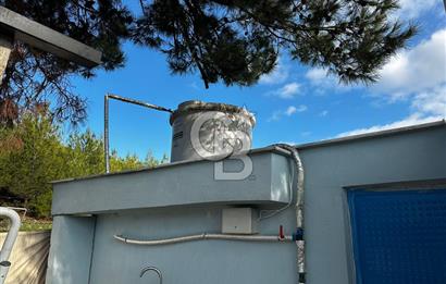 Tarla İçinde Meyve Bahçeli Müstakil Çiftlik Evi