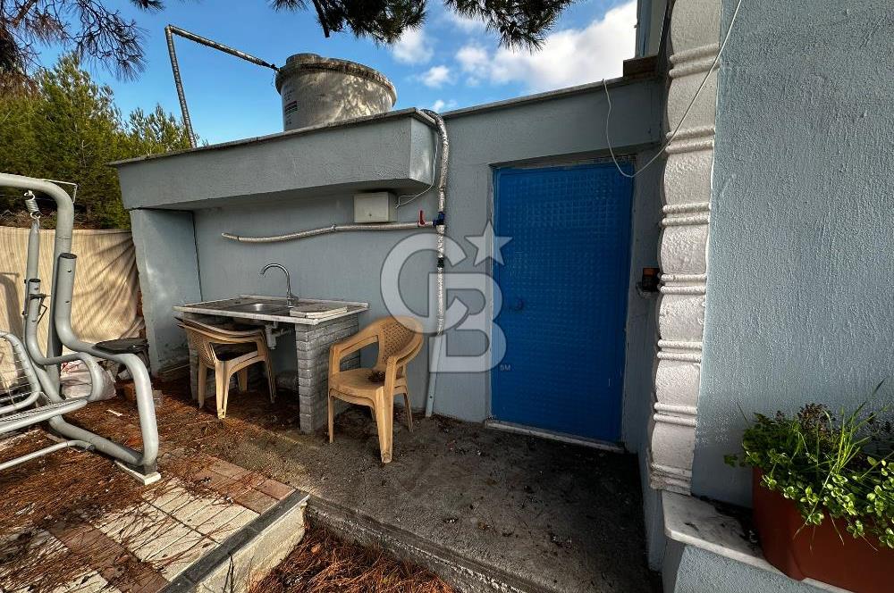 Tarla İçinde Meyve Bahçeli Müstakil Çiftlik Evi