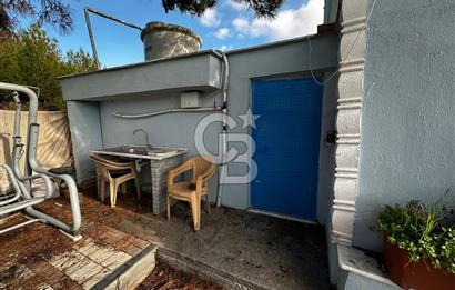 Tarla İçinde Meyve Bahçeli Müstakil Çiftlik Evi