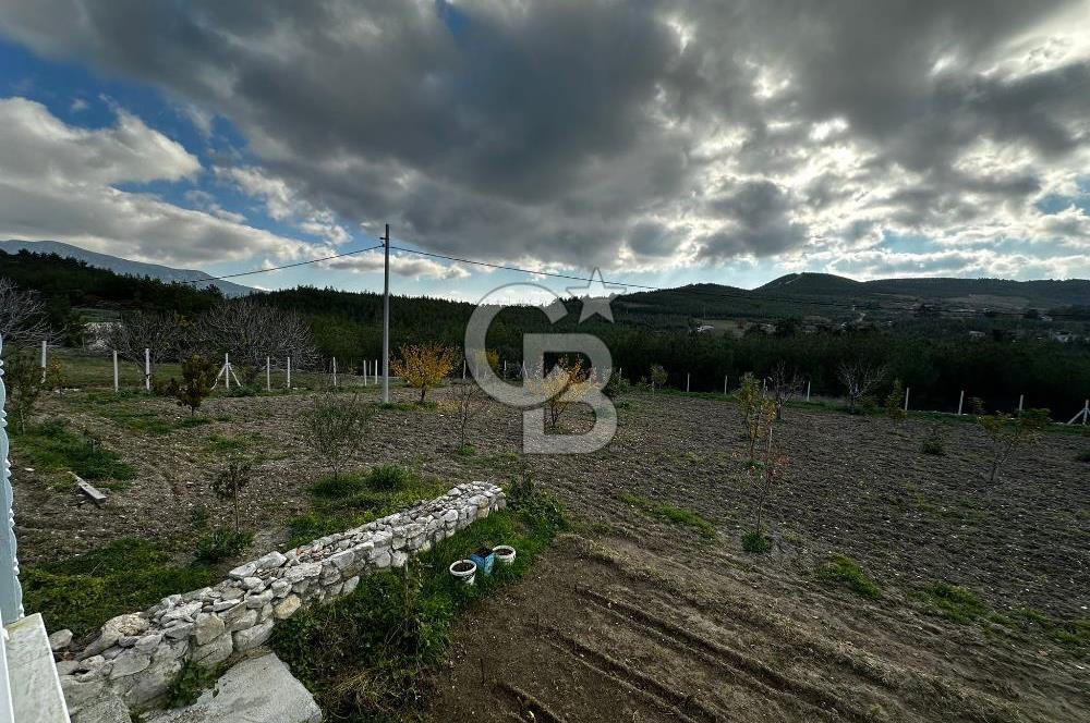 Tarla İçinde Meyve Bahçeli Müstakil Çiftlik Evi