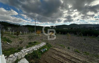 Tarla İçinde Meyve Bahçeli Müstakil Çiftlik Evi