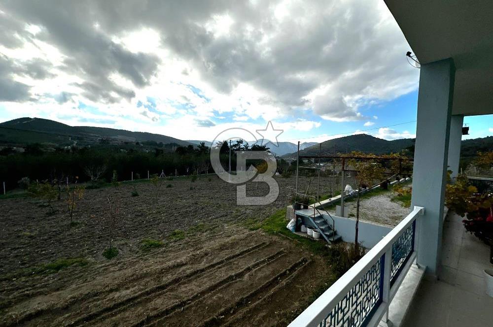 Tarla İçinde Meyve Bahçeli Müstakil Çiftlik Evi