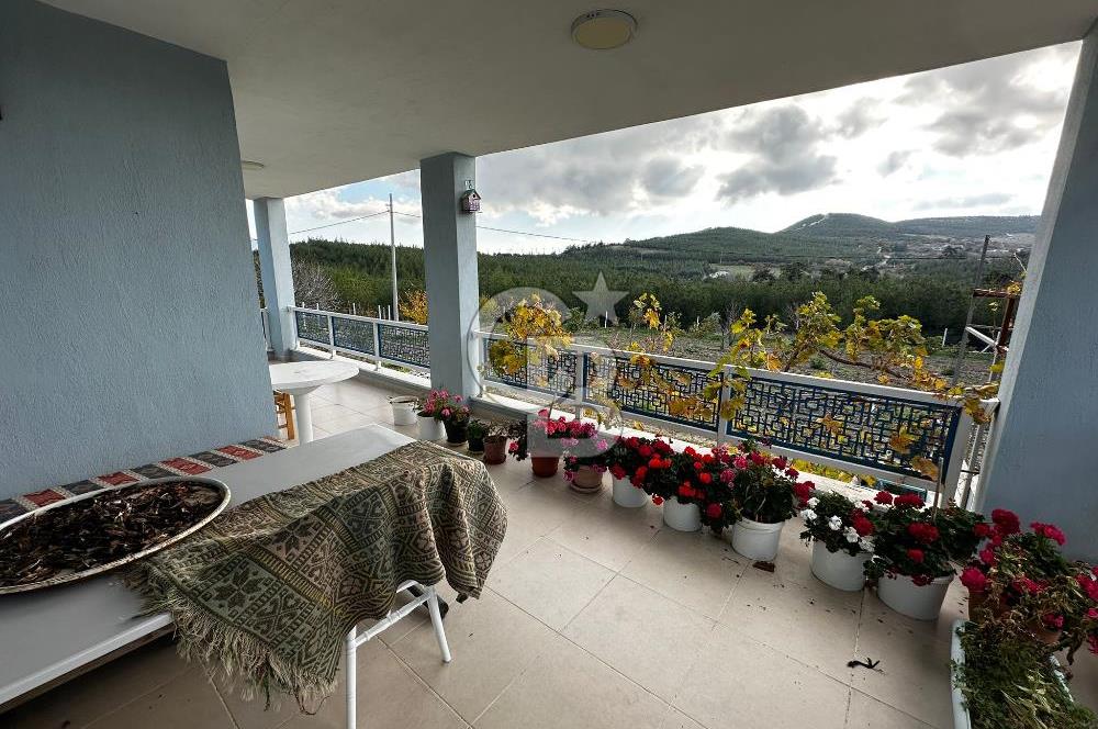 Tarla İçinde Meyve Bahçeli Müstakil Çiftlik Evi