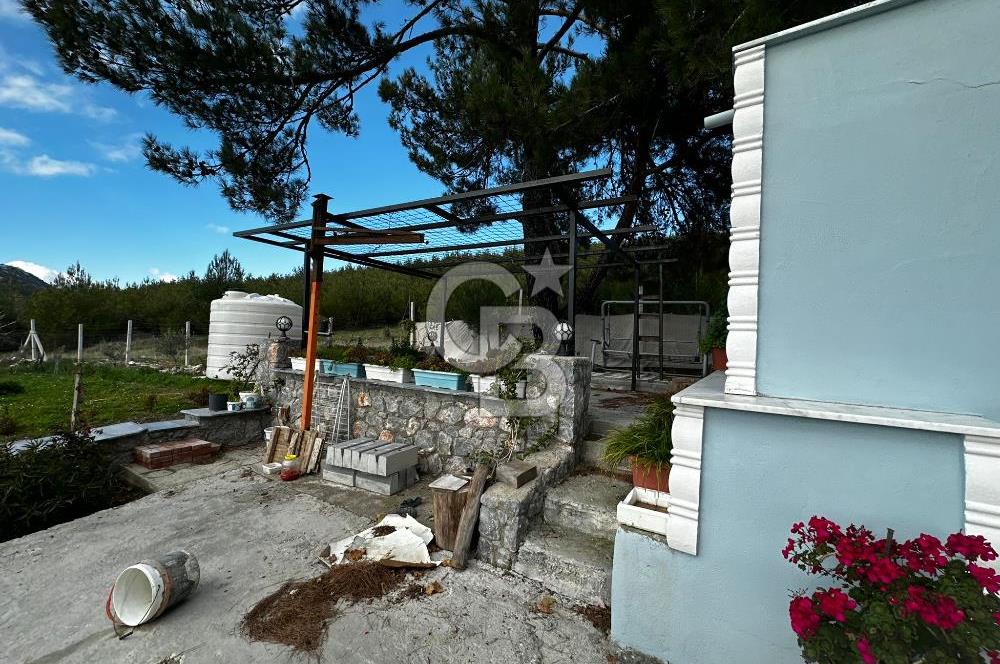 Tarla İçinde Meyve Bahçeli Müstakil Çiftlik Evi