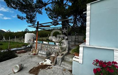 Tarla İçinde Meyve Bahçeli Müstakil Çiftlik Evi